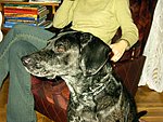 2003-11-23.JPG