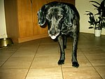 2003-11-27 (1).JPG
