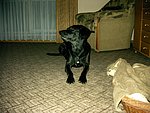 2003-11-27 (2).JPG