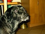 2003-11-29.JPG