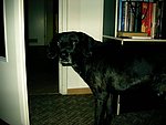 2003-12-12.JPG