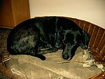 2003-12-16 (1).JPG