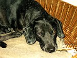 2003-12-16 (2).JPG