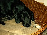 2003-12-16 (3).JPG