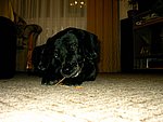 2003-12-16 (5).JPG
