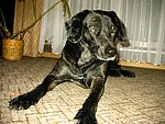 2003-12-16 (7).JPG