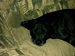 2003-12-18.JPG