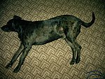2003-12-19.JPG