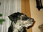 2003-12-22.JPG
