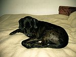 2003-12-29.JPG