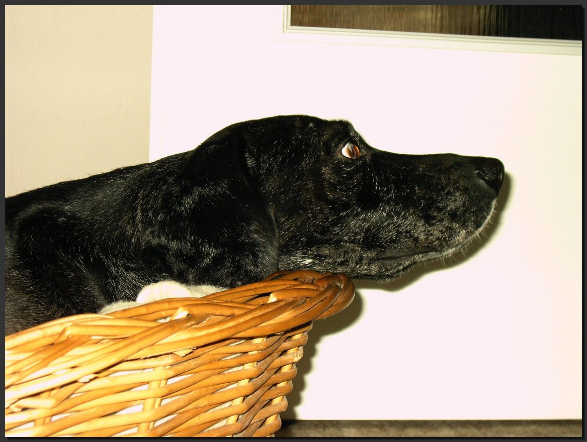 2004-01-29 (3).JPG