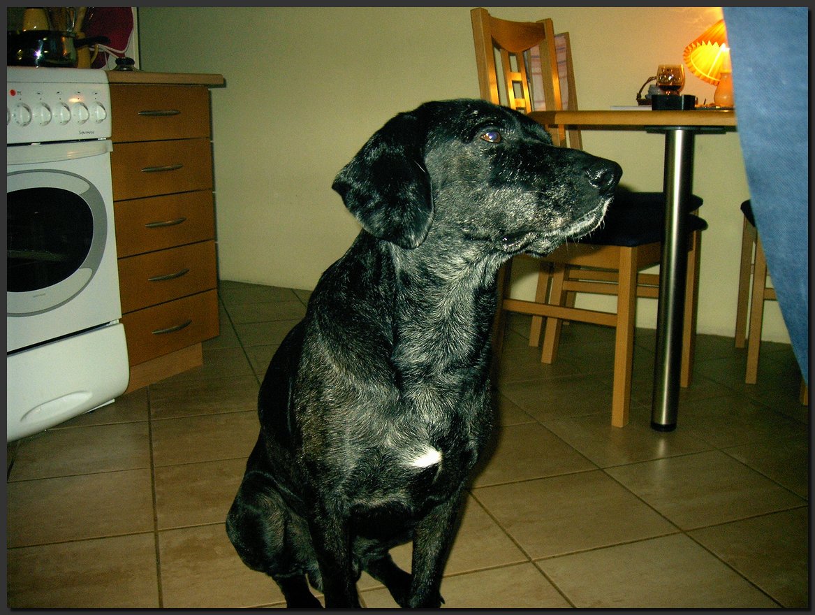 2004-02-01.JPG