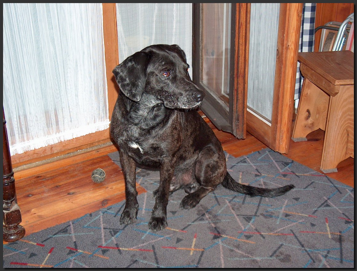 2004-08-29.JPG