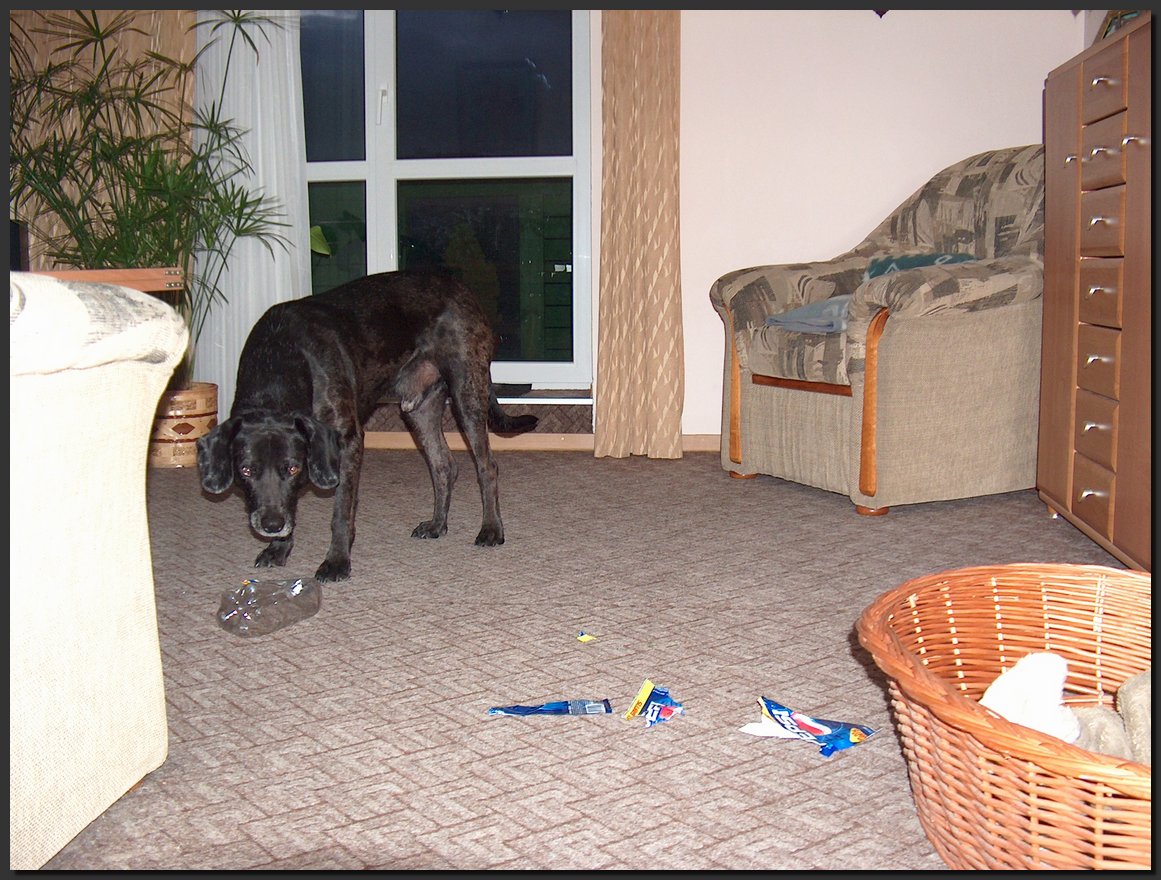 2004-11-16 (4).JPG