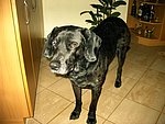 2004-01-10 (1).JPG