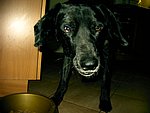 2004-01-10 (2).JPG