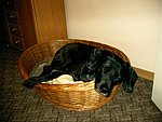 2004-01-18 (1).JPG