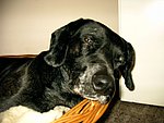 2004-01-18 (2).JPG