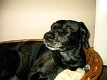 2004-01-18 (3).JPG