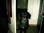 2004-01-20 (1).JPG