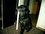 2004-01-20 (2).JPG