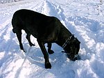 2004-01-26 (1).JPG