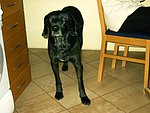 2004-01-27.JPG