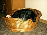 2004-01-29 (2).JPG