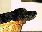 2004-01-29 (3).JPG