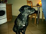 2004-02-01.JPG