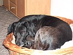 2004-02-14 (1).jpg