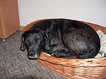 2004-02-14 (2).jpg
