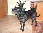 2004-02-14 (3).jpg