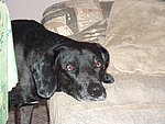2004-02-15 (2).jpg