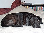 2004-02-17 (1).jpg
