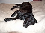 2004-02-17 (2).jpg