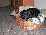 2004-02-23.JPG