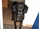 2004-02-25.JPG
