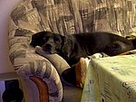 2004-02-26.JPG