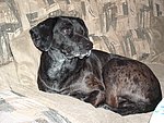 2004-03-04 (1).JPG