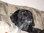 2004-03-04 (3).JPG