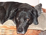 2004-03-12 (1).JPG