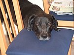 2004-04-01.JPG