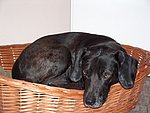2004-04-09.JPG