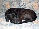 2004-04-10 (1).JPG
