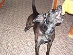 2004-04-10 (2).JPG