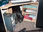 2004-04-15 (1).JPG