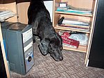 2004-04-15 (2).JPG