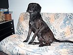 2004-04-20 (2).JPG