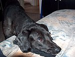 2004-04-24 (1).JPG